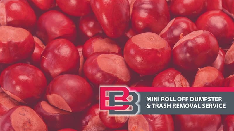 Boren Brothers Waste Services - Dumpster rental in Columbus, Ohio