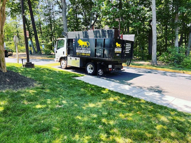 Lion Strong Junk Removal - Dumpster rental in Annandale, Virginia