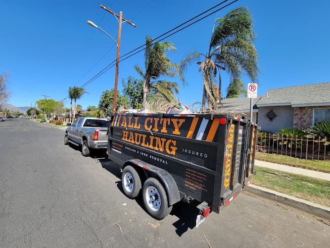 All City Hauling & Junk Removal - Dumpster rental in Sylmar, California