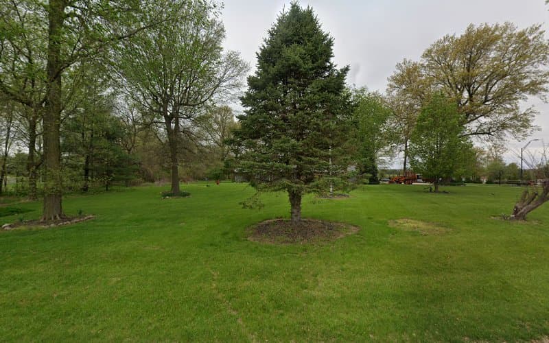 Carey's Disposal Services - Dumpster rental in Mt Auburn, Illinois