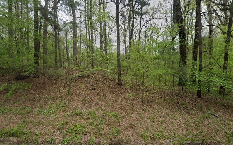 Waste Services Inc - Dumpster rental in Little Rock, Arkansas