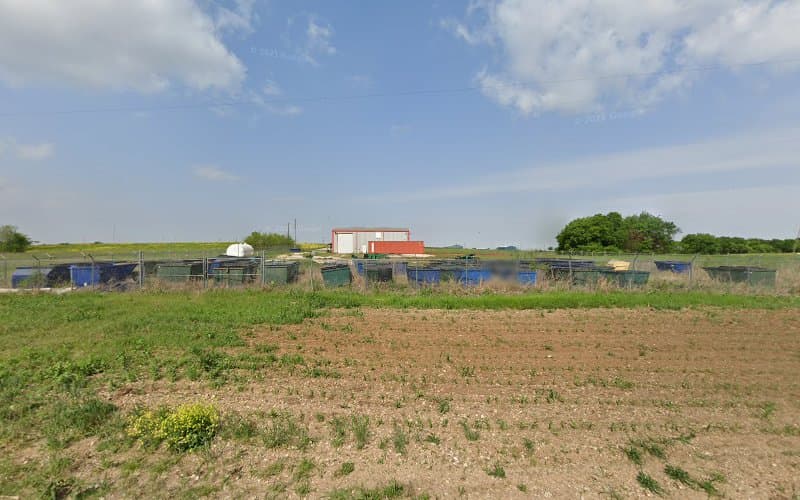 Waste Connections Of Texas - Abbott - Dumpster rental in Abbott, Texas