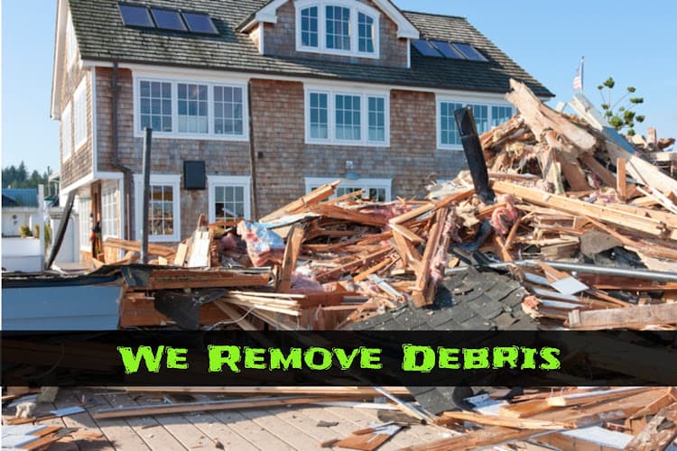 Green Monsta Junk Removal - Dumpster rental in Mansfield, Massachusetts