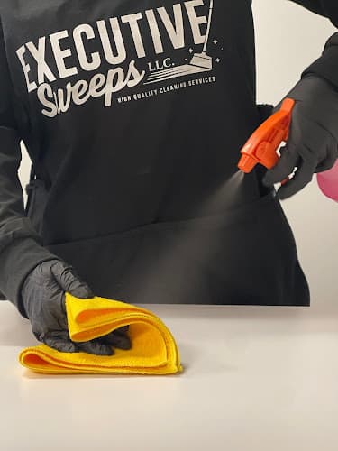 Executive Sweeps LLC - Dumpster rental in Buffalo, New York