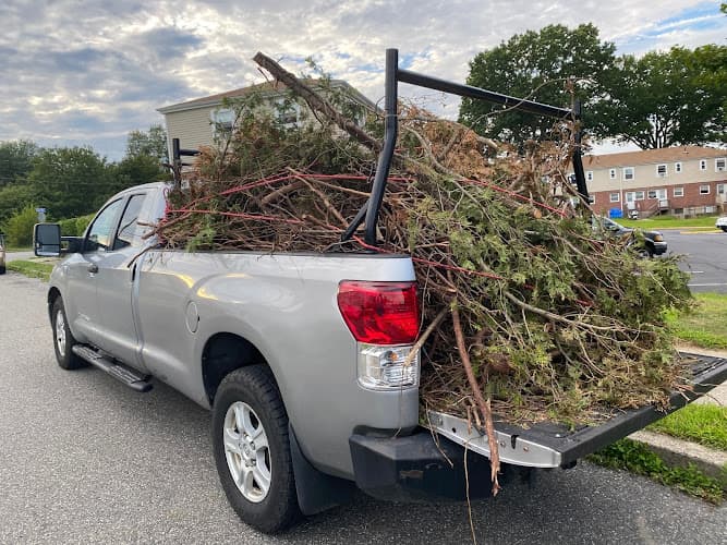 Will’s Junk Removal & Yard Clean Up LLC - Dumpster rental in New London, Connecticut