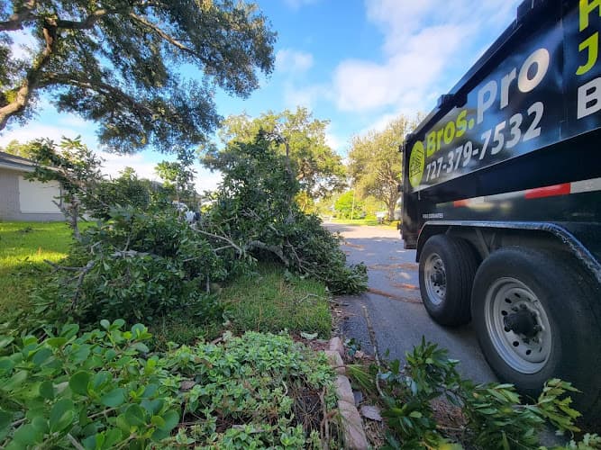 Bros. Pro Hauling & Junk Removal - Dumpster rental in St. Petersburg, Florida