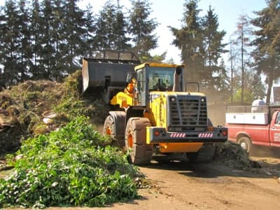NAPLES RECYCLING - Dumpster rental in Naples, Florida