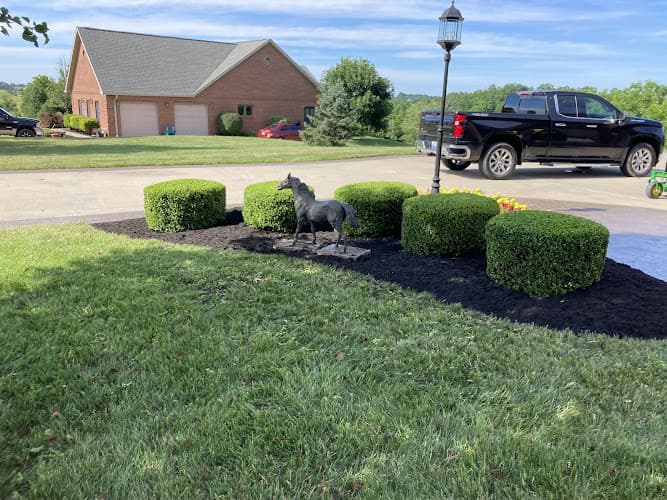 Cardinal Cutz, LLC - Dumpster rental in Williamstown, Kentucky