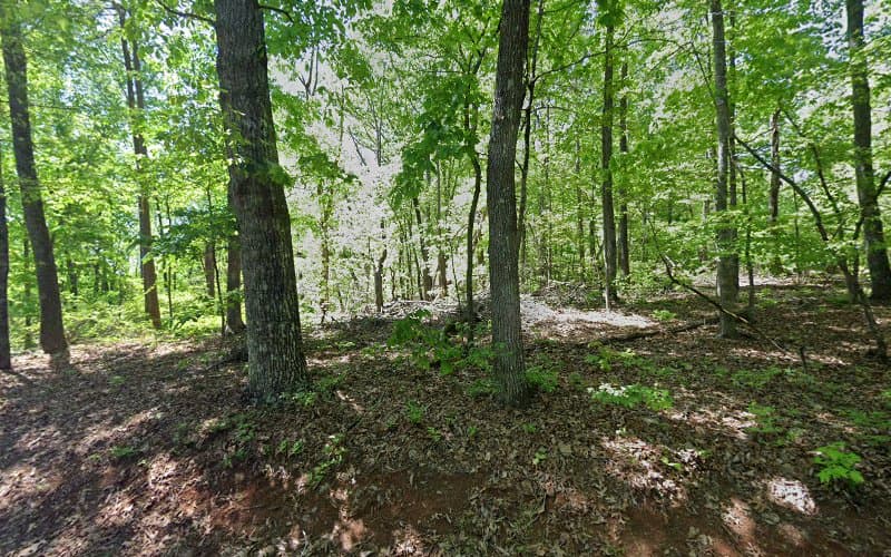 J & E Dumpster Rentals - Dumpster rental in Marietta, South Carolina