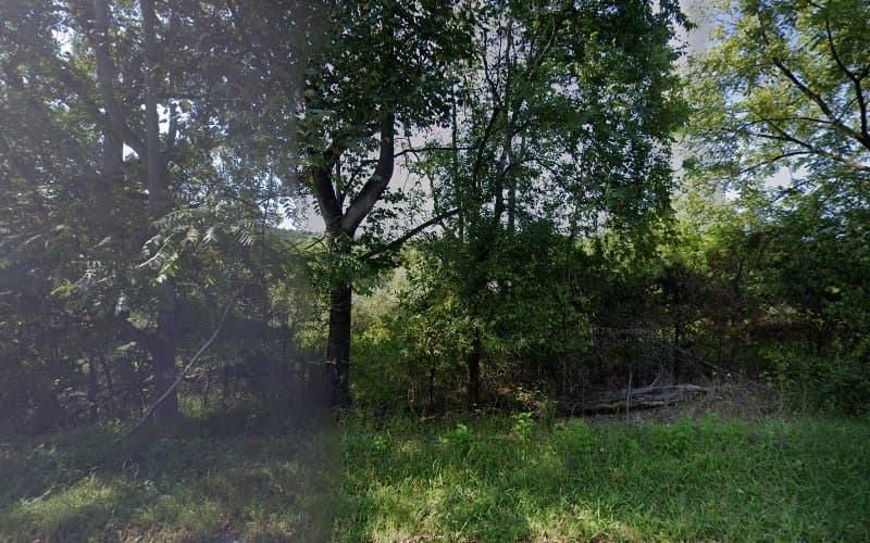 Mountain View Disposal - Dumpster rental in Castleton, Virginia