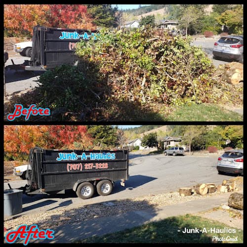 Junk-A-Haulics | Junk Removal & Hauling Service - Dumpster rental in Santa Rosa, California