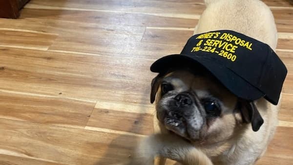 Renee's Disposal & Service - Dumpster rental in Dunkirk, New York