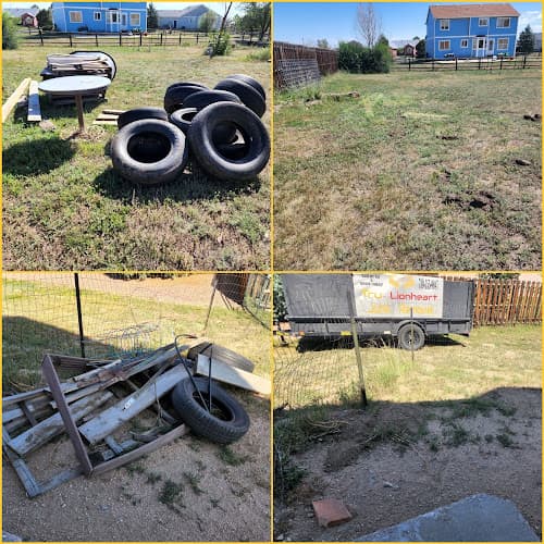 Tru Lionheart Junk Removal - Dumpster rental in Peyton, Colorado