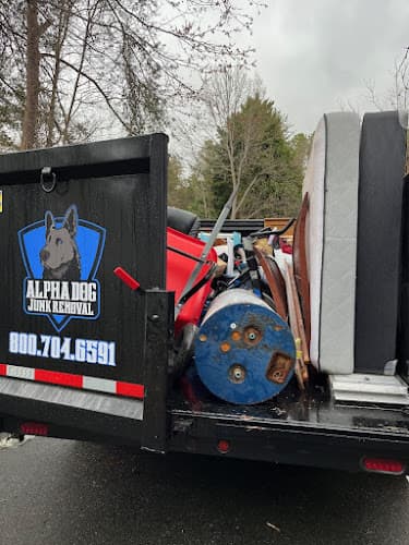 Alpha Dog Junk Removal - Dumpster rental in Troy, Virginia