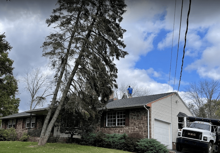 Ruiz Construction - Dumpster rental in Wilmington, Delaware