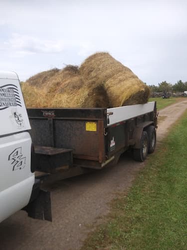 Junk Removal -Paul's Hauling and More! LLC - Dumpster rental in Superior, Wisconsin