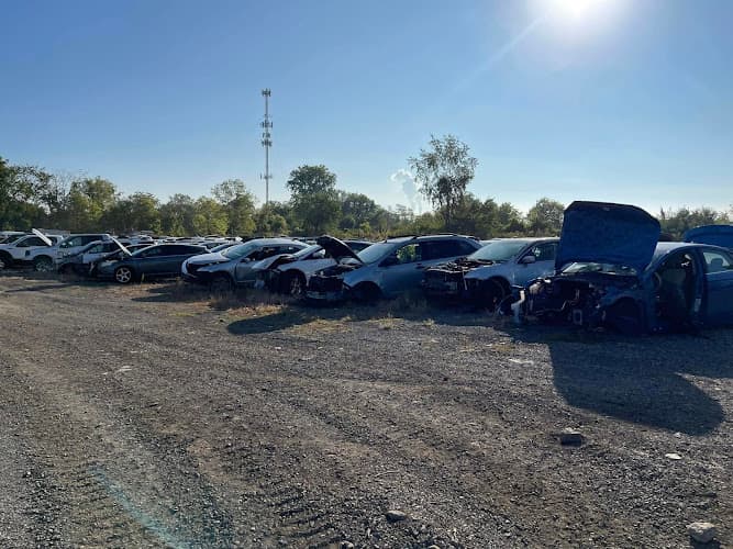 RS Recycling - Dumpster rental in Monroe, Michigan