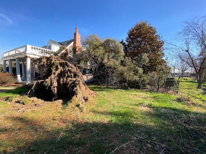 Younited Services - Dumpster rental in Lawrenceburg, Kentucky