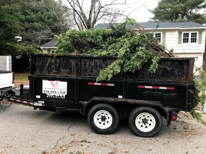 Responsible Junk Removal - Dumpster rental in Millis, Massachusetts
