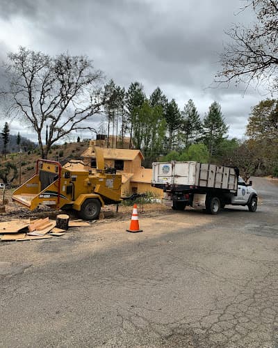 Castillo Hauling - Dumpster rental in Santa Rosa, California