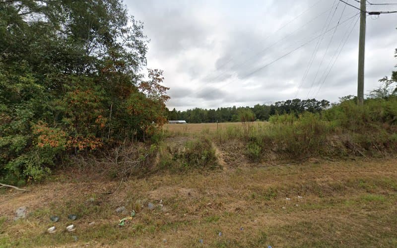 Davis Sanitation - Dumpster rental in Clanton, Alabama