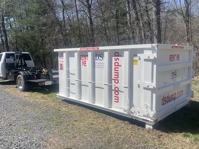 Dominion Services - Dumpster Rentals - Dumpster rental in Washington, Virginia