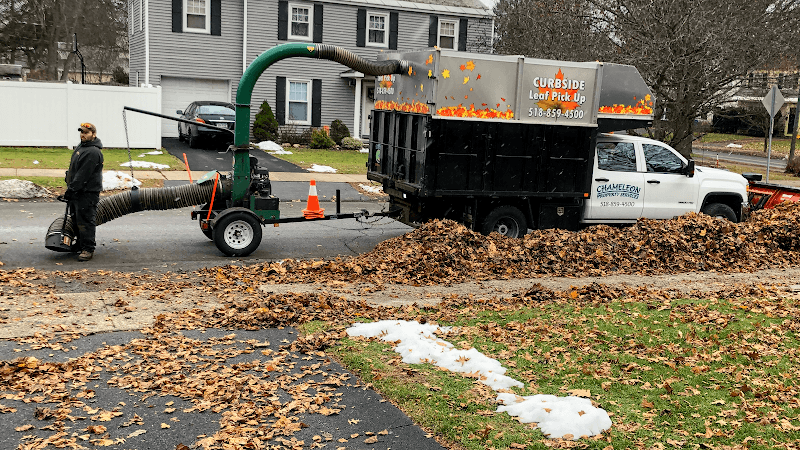 Chameleon Property Services LLC - Dumpster rental in Albany, New York