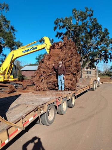 J & M Dozer Services Inc - Dumpster rental in Pensacola, Florida