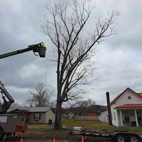 Tackett's Hauling And Tree Service - Dumpster rental in Wellston, Ohio