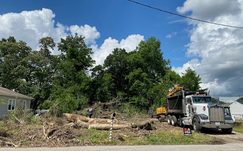 Morehead Demolition Services, LLC - Dumpster rental in Chattanooga, Tennessee