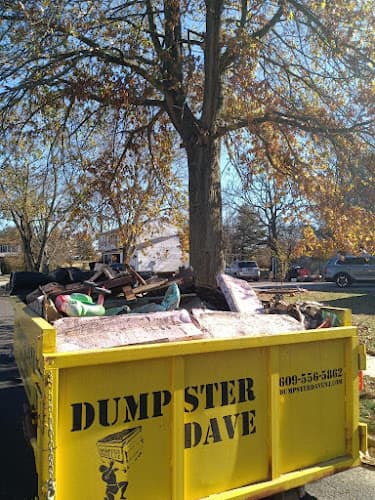Dumpster Dave NJ - Dumpster rental in Williamstown, New Jersey