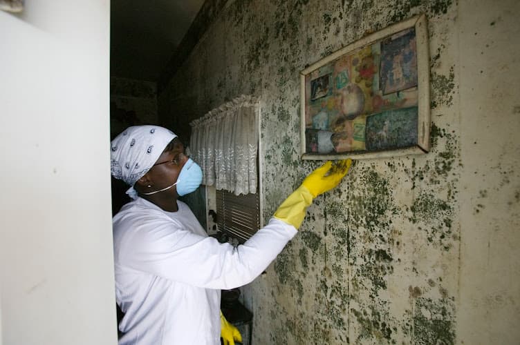 EJS Environmental Services - Dumpster rental in Willow Grove, Pennsylvania