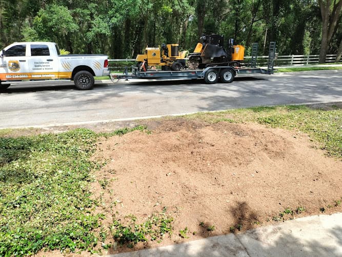TTS Stump Grinding Services - Dumpster rental in Orlando, Florida