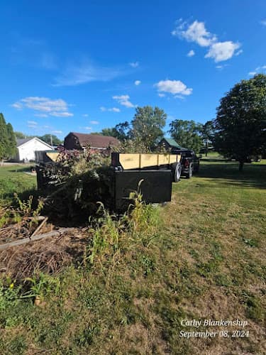 Dumpster Dave - Dumpster rental in Medina, Ohio